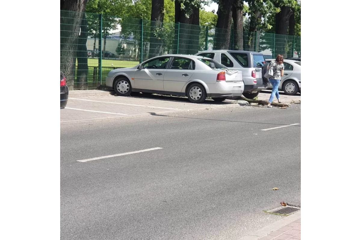 Spadł konar i uszkodził samochód