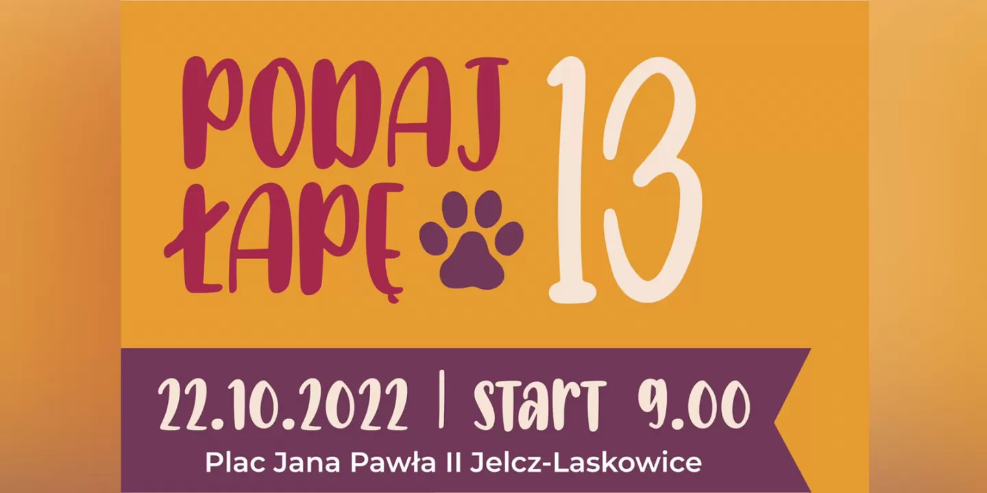 Podaj łapę psom ze schroniska. Kolejna akcja zbiórki żywności 