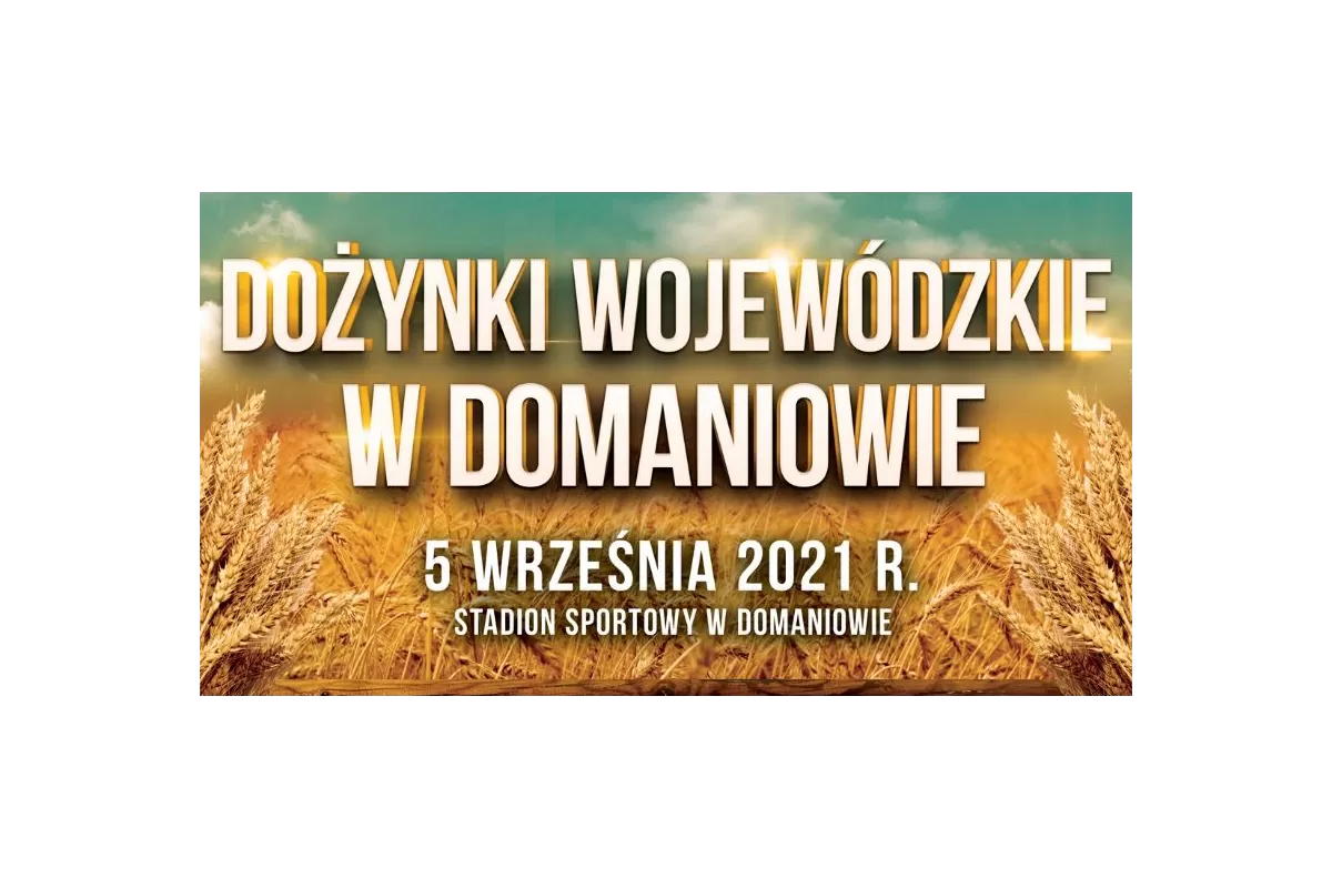 Tegoroczne dożynki w Domaniowie. Zobacz, kto zagra na scenie