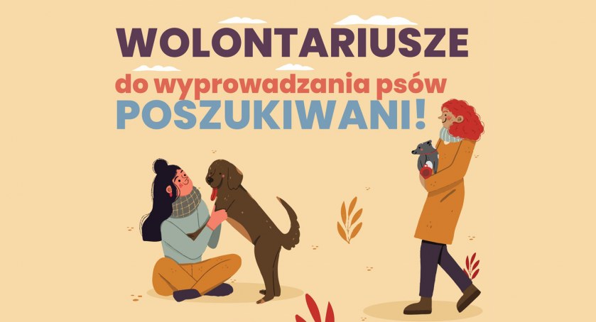 Przebywają na kwarantannie, a ich psiaki potrzebują wsparcia 