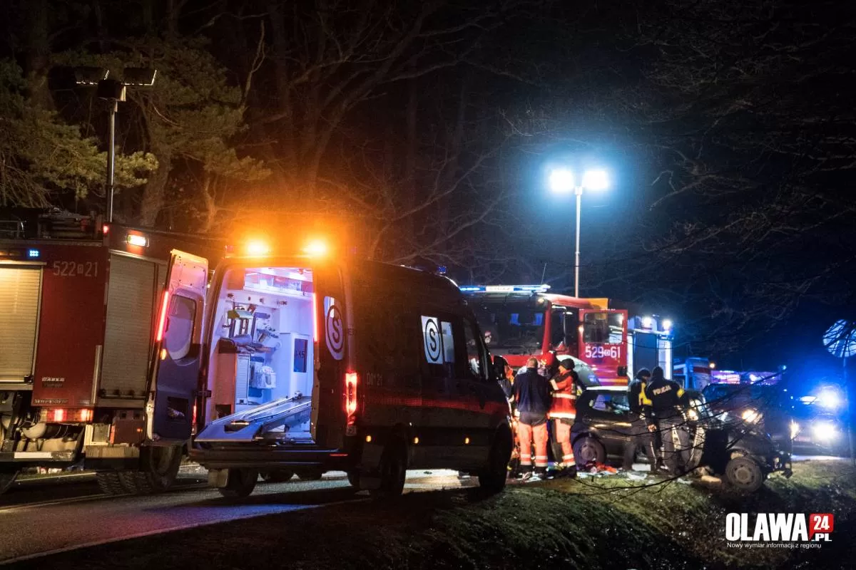 Zderzenie w lesie. Kierowca zmarł, policja szuka świadków [ZDJĘCIA]