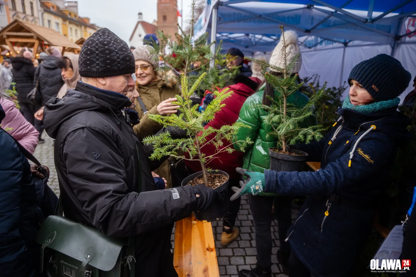 Choinki za darmo podczas jarmarku. Przyjdź na oławski Rynek!