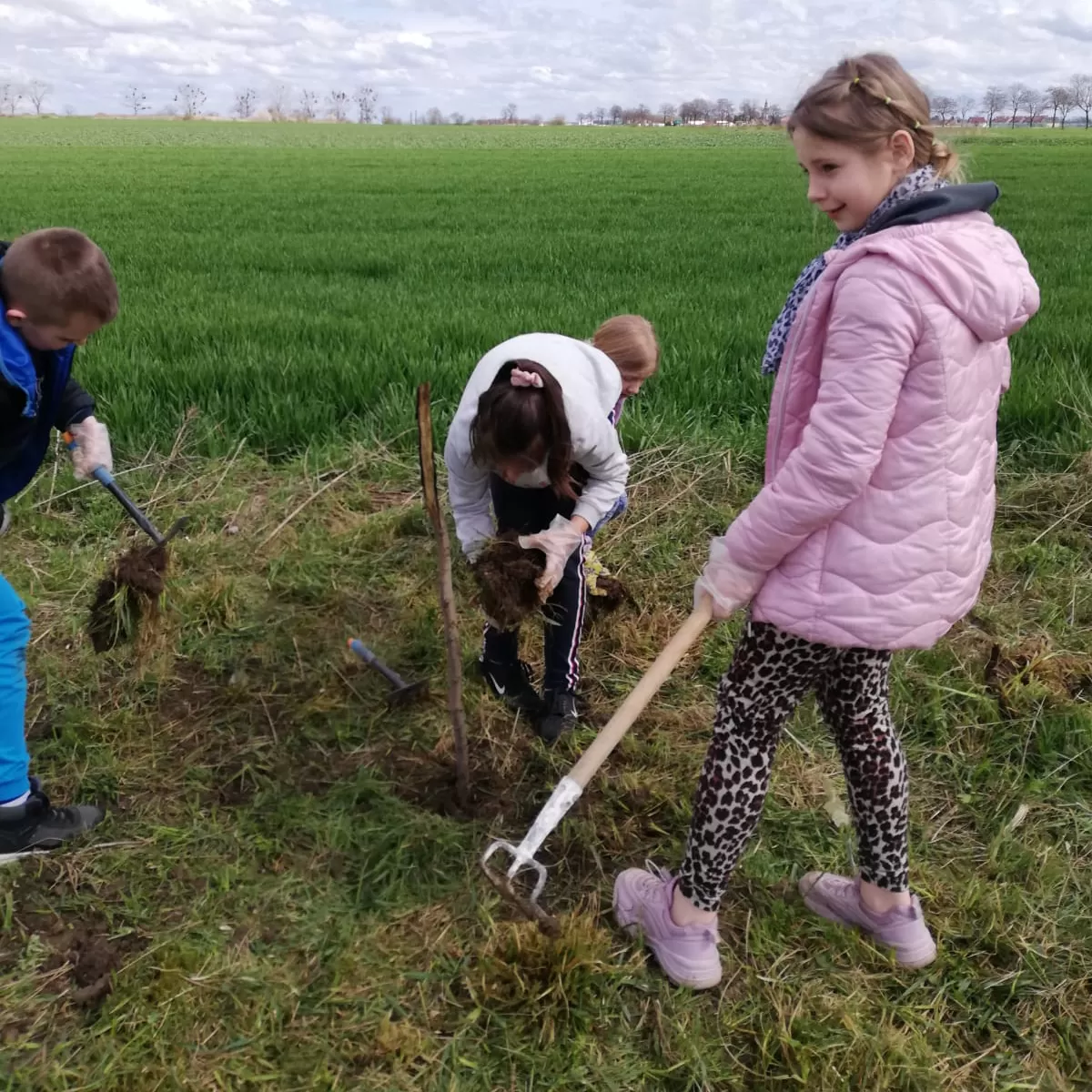 Wiosna ach ta wiosna. Ruszyły akcje nasadzeń nowych drzew 
