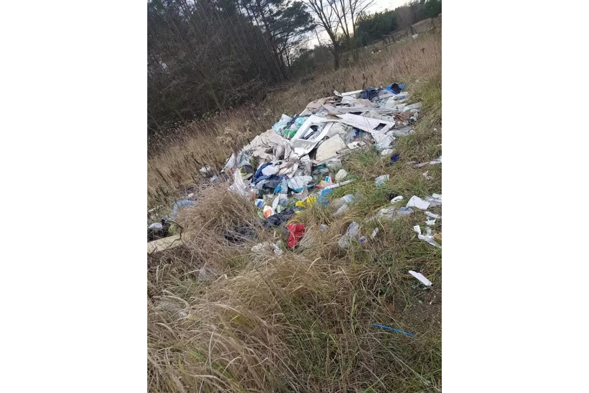 Bezkarnie, nadal wyrzucają śmieci do lasu