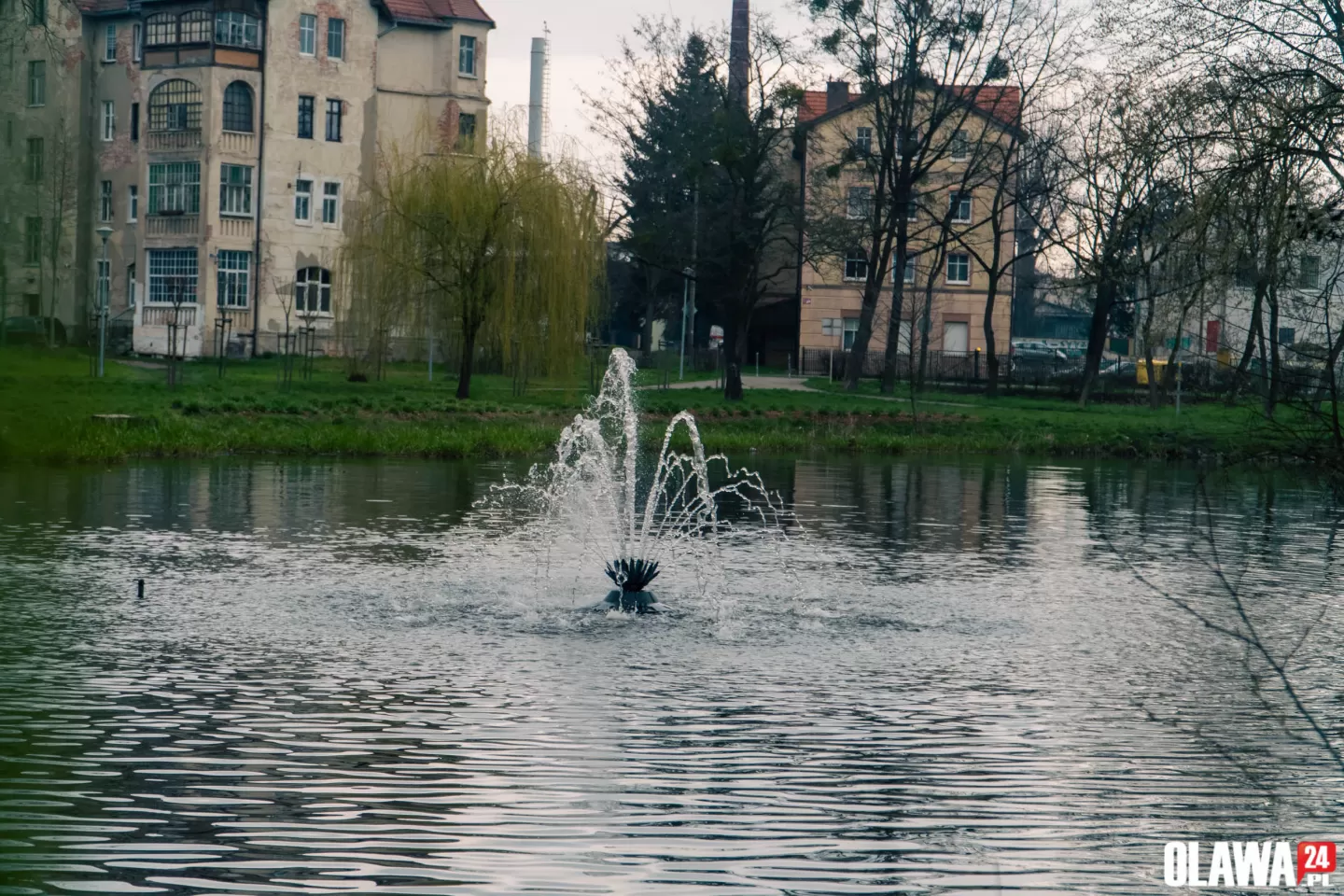 Nowa fontanna w parku miejskim