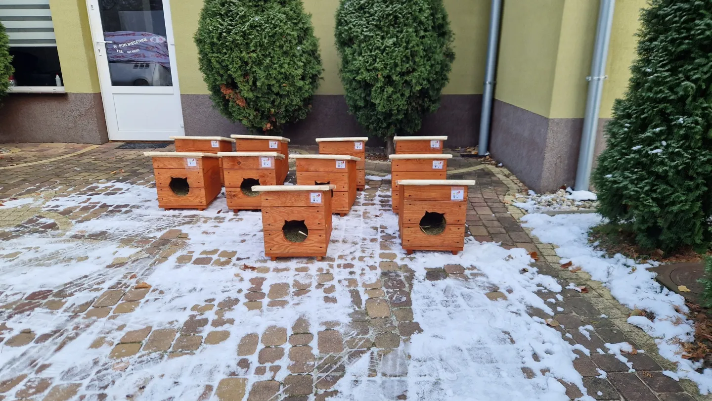 Seniorzy wykonali budki dla bezdomnych kotów