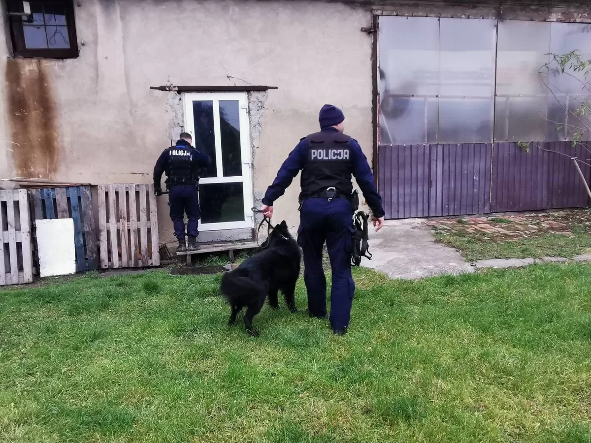 Co robić, gdy zaginie bliska nam osoba?