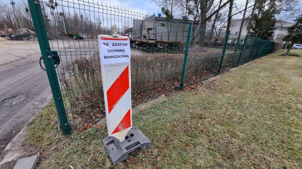 Zalega Ci choinka po świętach? Daj jej drugie życie 