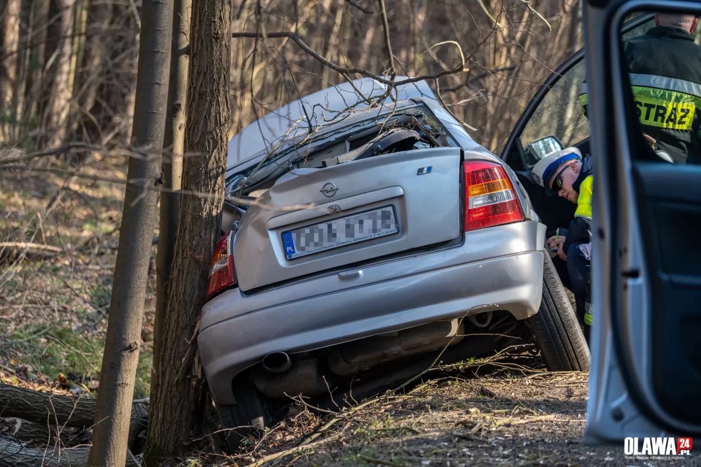 Samochód osobowy uderzył w drzewo