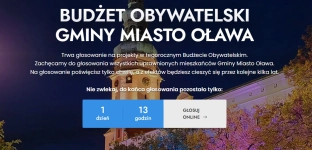 Trwa głosowanie do Budżetu Obywatelskiego w Oławie