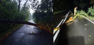 Burze, silny wiatr i powalone drzewa. Niespokojna noc w powiecie oławskim