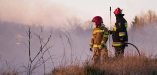 Duży pożar lasu w gminie Jelcz-Laskowice. Trwa akcja strażaków