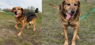 Dolar czeka na swój dom