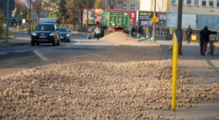 Ziemniaki rozsypały się na ulicę. Ładunek był źle zabezpieczony, a kierowca nietrzeźwy