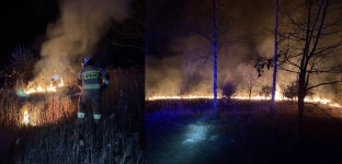 Pożar traw przy lesie w Bystrzycy. Interweniowali strażacy