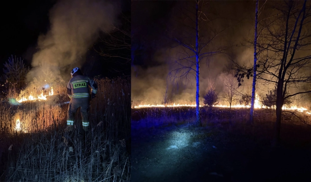 Pożar traw przy lesie w Bystrzycy. Interweniowali strażacy