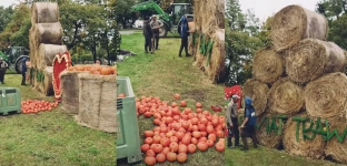 Dyniowa dekoracja przed wieżowcem w Oławie