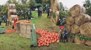 Dyniowa dekoracja przed wieżowcem w Oławie