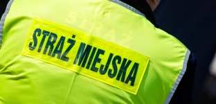 Wyniki konsultacji jednoznaczne: Straży Miejskiej nie będzie