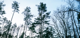 Zakaz wstępu do Grodziska Ryczyńskiego przedłużony