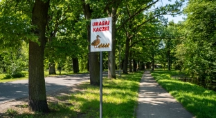 Uważaj na kaczki! W parku stanęły znaki ostrzegawcze