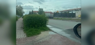 Rozrastający się żywopłot utrudnia kierowcom wyjazd