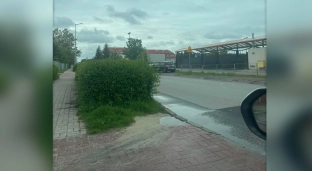 Rozrastający się żywopłot utrudnia kierowcom wyjazd