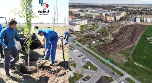 Nowy park miejski w Oławie coraz bliżej. Pierwsze drzewa już posadzone
