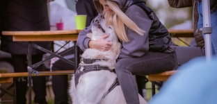 Ważny komunikat oławskiego schroniska. Wstęp tylko w wyznaczonych godzinach