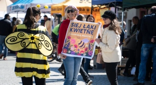 Szykuje się wiosenna edycja Oławskiej Niedzieli. Warsztaty, konkursy i pchli targ