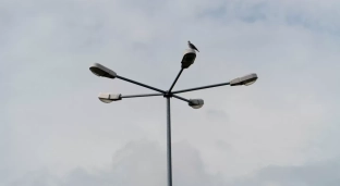 Awaria kabla zasilającego. Kilka ulic przy Rynku bez oświetlenia