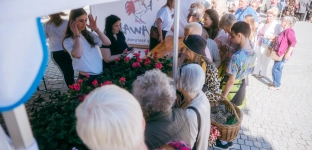 Tysiąc sadzonek rozdanych. Długa kolejki pod ratuszem
