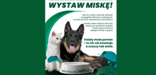 Miska wody, która ratuje życie, pomóż zwierzętom przetrwać upały