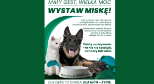 Miska wody, która ratuje życie, pomóż zwierzętom przetrwać upały