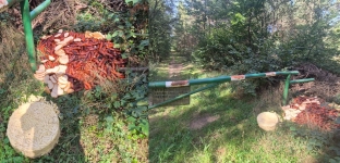 Kiełbasa, chleb i makaron w lesie. Straż Leśna szuka sprawcy