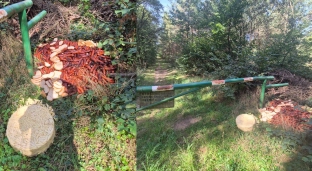 Kiełbasa, chleb i makaron w lesie. Straż Leśna szuka sprawcy