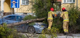 Mocniej powieje w powiecie. Wydano pierwszy stopień ostrzeżenia