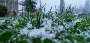 Ostrzeżenie pierwszego stopnia przed przymrozkami