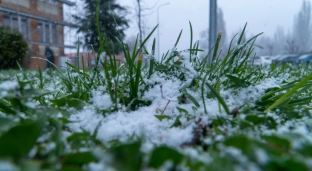 Ostrzeżenie pierwszego stopnia przed przymrozkami