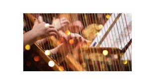 Transmisja koncertu na żywo - harfa elektryczna i gitara basowa w Oławie