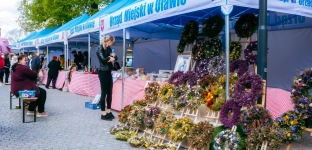 Oławska Niedziela-Święto Przedsiębiorczości poszukuje wystawców
