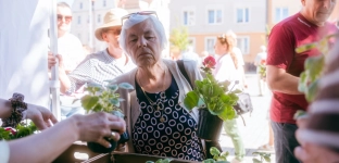 Tysiąc sadzonek rozdanych. Długa kolejki pod ratuszem