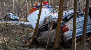 Stracił panowanie i uderzył w drzewo. Był pijany