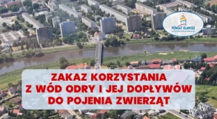 Całkowity zakaz używania wody z Odry do pojenia zwierząt!