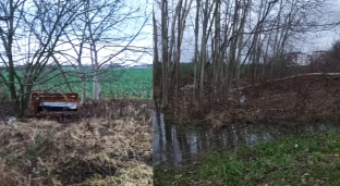 Zaniedbany zagajnik w Oławie. Mieszkaniec pyta czy można to zmienić?