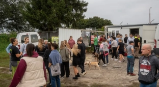 Pełna mobilizacja w oławskim przytulisku. Wszystkie zwierzęta znalazły domy tymczasowe!