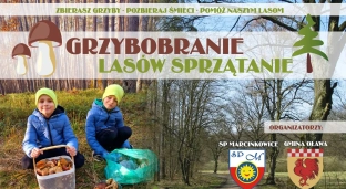 Grzybobranie i sprzątanie lasów. Dołącz do akcji!