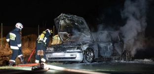 Pożar auta na drodze do Starego Otoku. Kierowca zdążył uciec