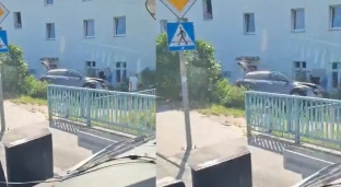 Wypadł z drogi na Oleśnickiej i zatrzymał się na drzewie