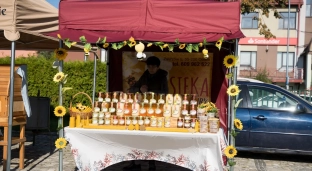 Powiatowy Piknik Pszczelarski w Oławie. Miodowe atrakcje dla całych rodzin
